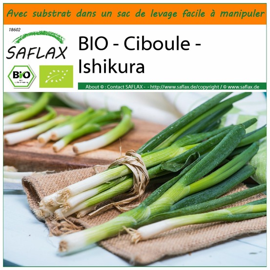 Garden in the bag - bio - ciboule - ishikura - 150 graines - allium fistulosum