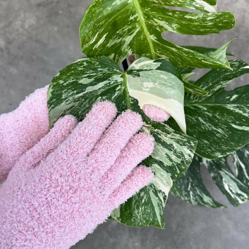 Gants de nettoyage pour plantes - anti-calcaire - rose