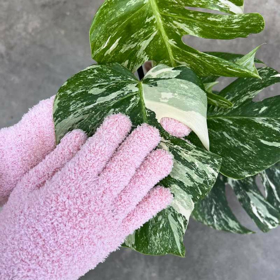 Gants de nettoyage pour plantes - anti-calcaire - rose
