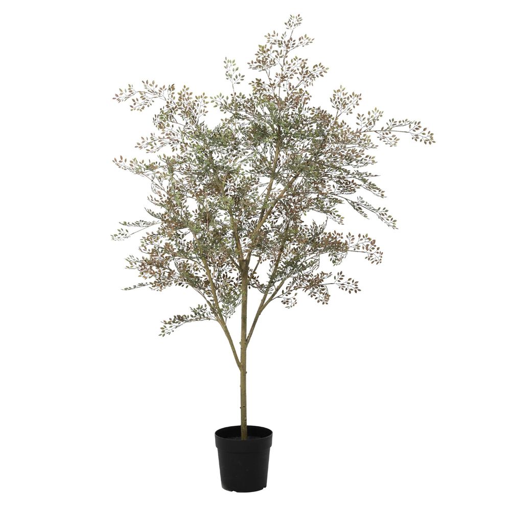 Bucida - 165cm - ø25cm - plante artificielle