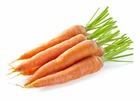 Sachet de graines de carotte touchon - sachet de 6 grammes - petite entreprise française