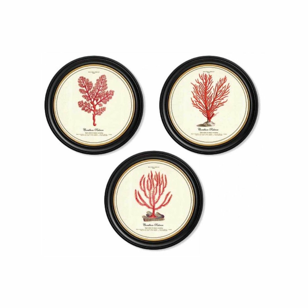 Assortiment de 3 cadres corail