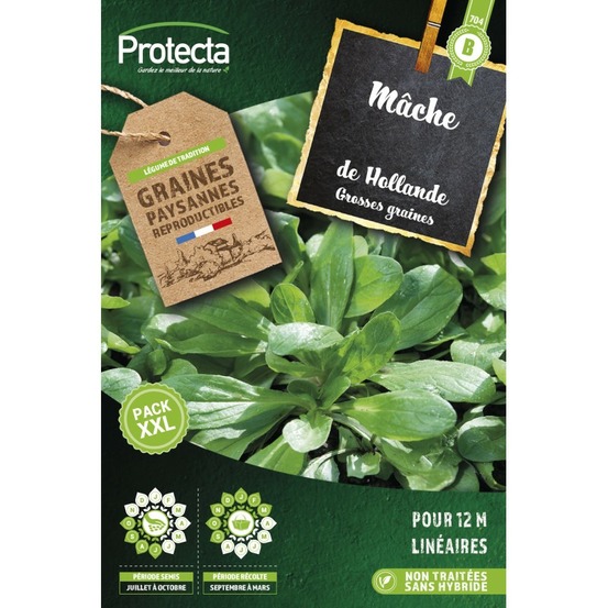 Graines paysannes - mâche à grosse graine xxl