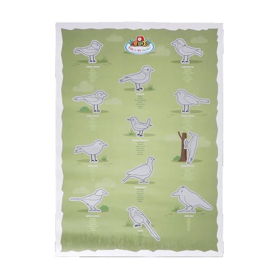 Poster à gratter oiseaux – affiche éducative nature pour enfants