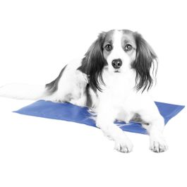 Tapis rafraîchissant pour chien, tapis rafraîchissant pour animaux de compagnie, tapis Tapis rafraîchissant pour chien, tapis rafraîchissant pour animaux de compagnie, tapis