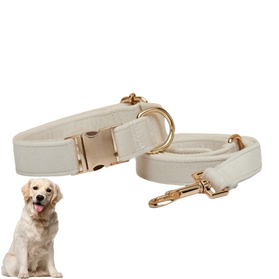 Collier et laisse réglable pour chien l