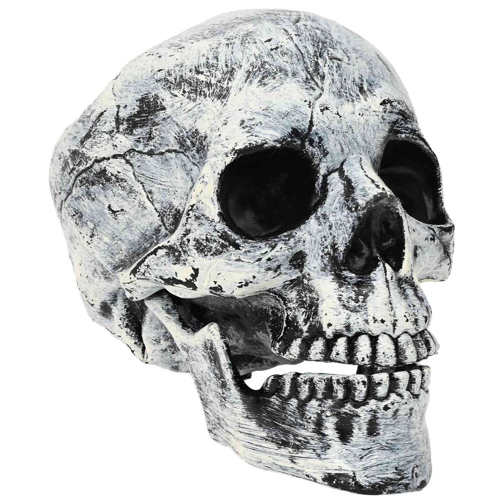 Crâne de halloween spooka 2 pc blanc 12 x 15 x 17,5 cm