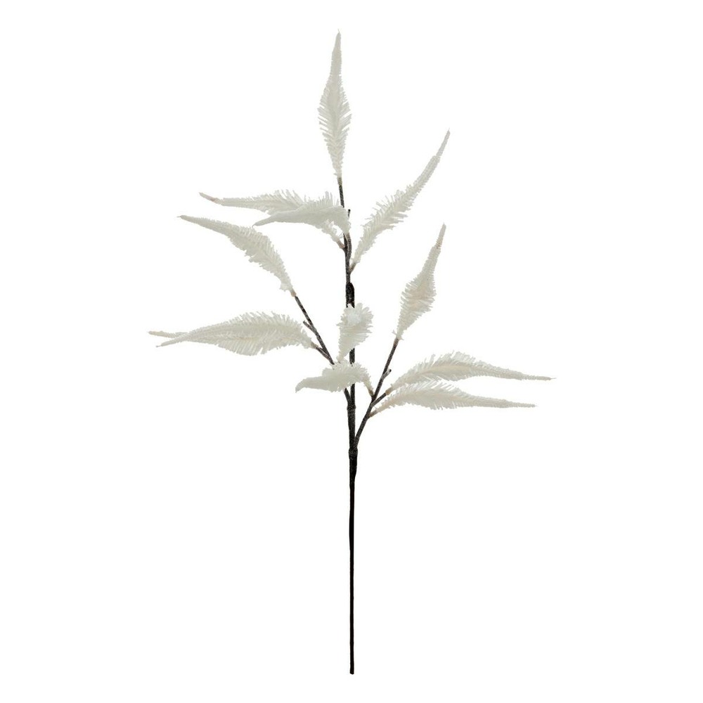 Bch corail blanc h70