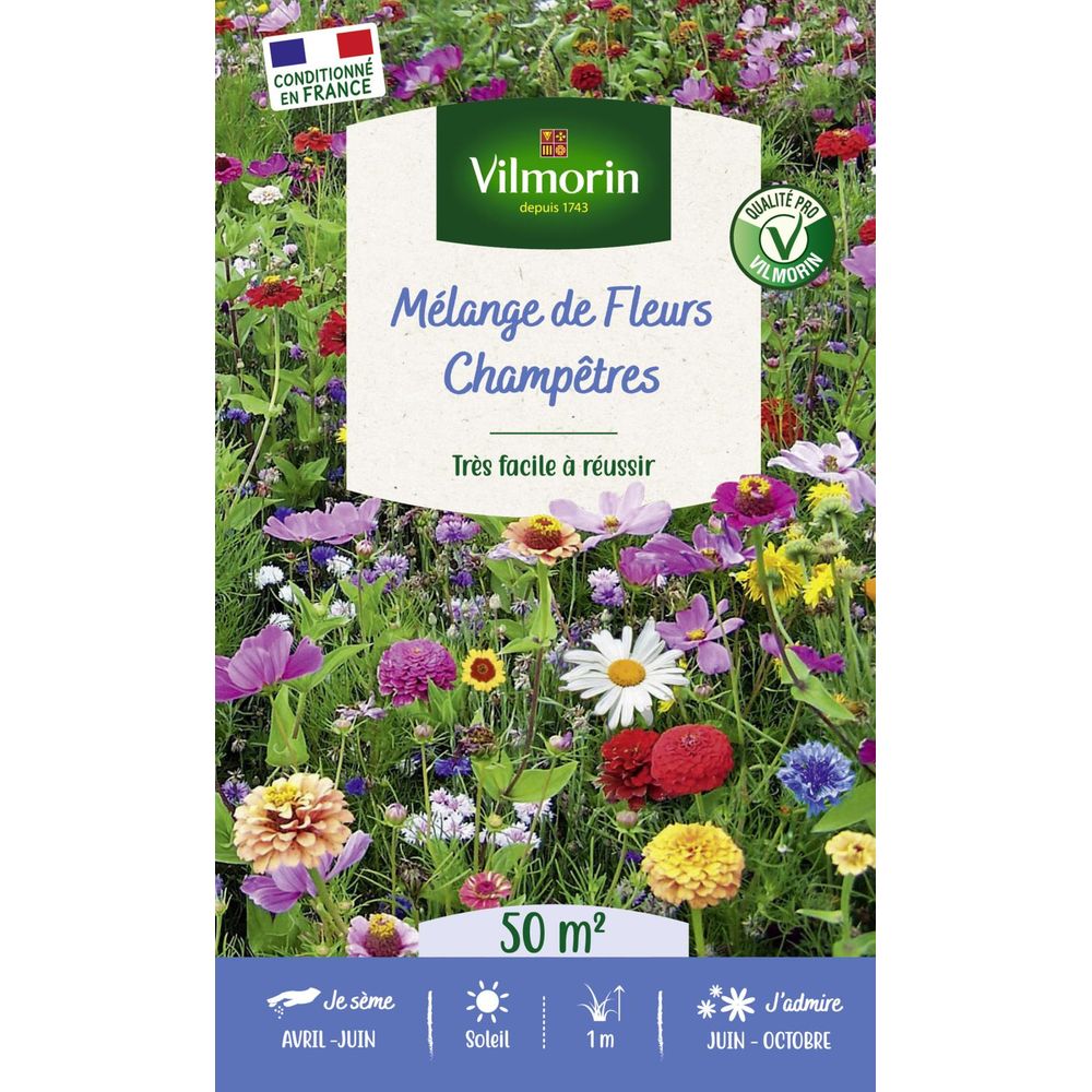 Fleurs champêtres - 50 m² - mélange de fleurs