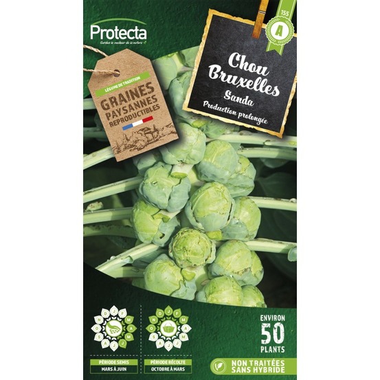 Graines paysannes - chou de bruxelles sanda