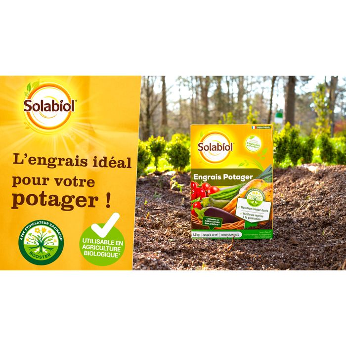 Solabiol Traitement Insectes Potager Aleurodes Pucerons - 100 ML Utilisable En Agriculture Biologique