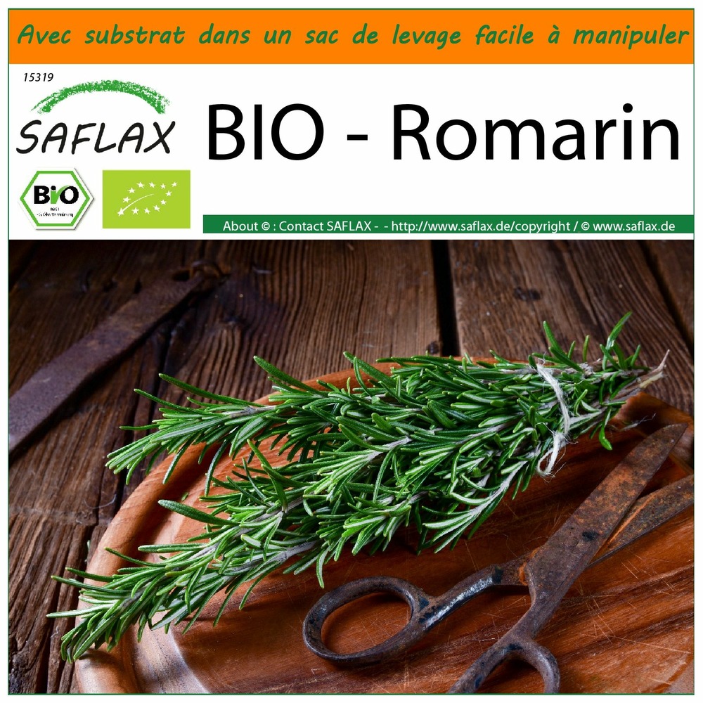 Garden in the bag - bio - romarin - 40 graines - rosmarinus officinalis