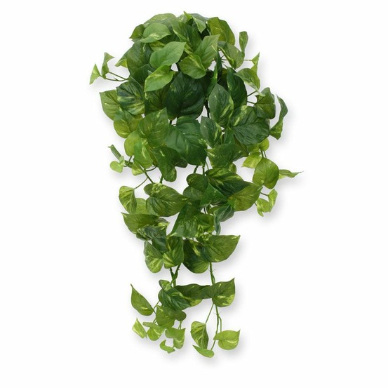 Chute de pothos artificielle de 80 cm rt