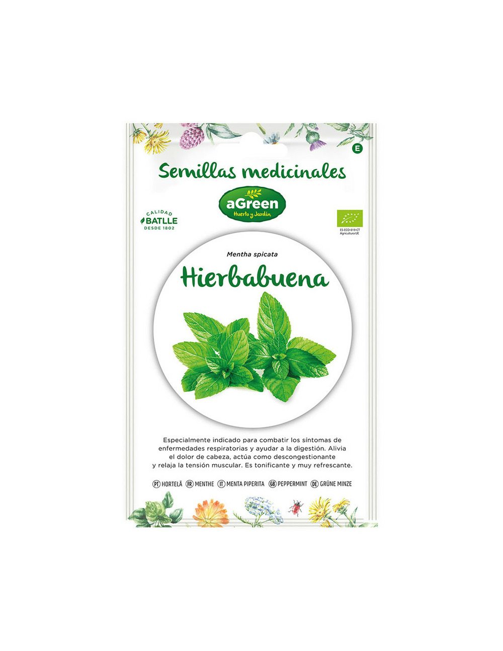 Graines de menthe poivrée médicinale eco 857005bolsh agreen - agreen