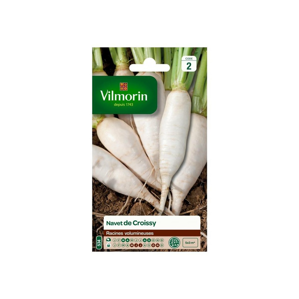 Sachet de graines navet de croissy vilmorin