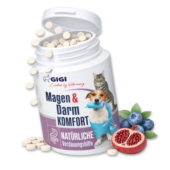 Gigi vet confort estomac & intestin – aide efficacement en cas d’intolérances alimentaires 30 comprimés
