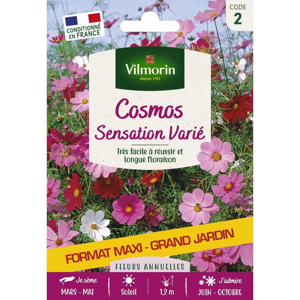 Cosmos sensation varié - grand modèle