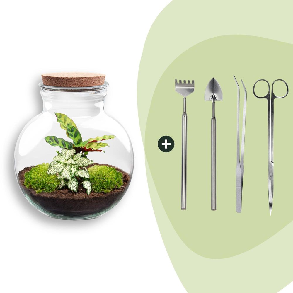 Diy terrarium - h27 cm - ø27 cm