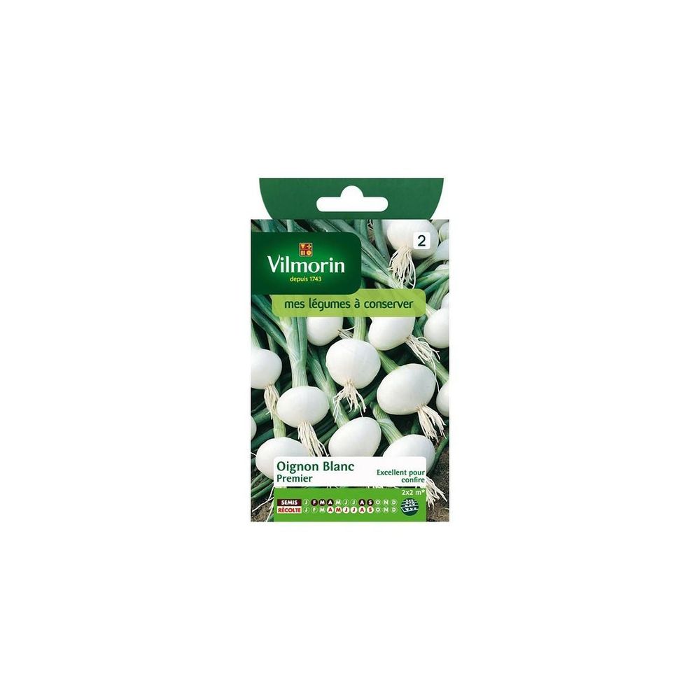 Sachet graines oignon blanc premier