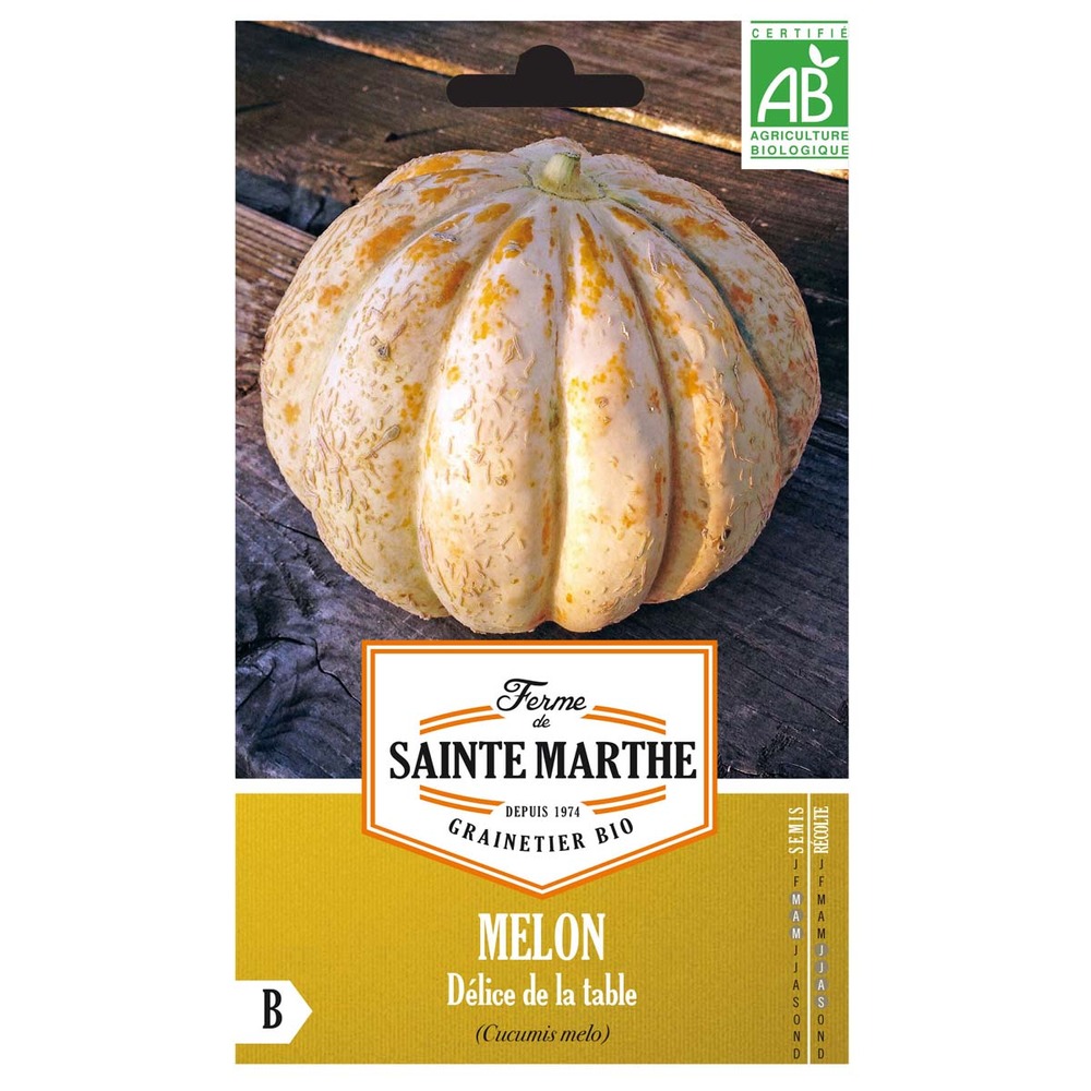 Melon 'délice de la table' le sachet de 15 graines environ