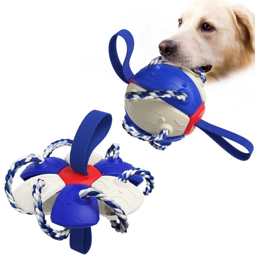 Frisbee pour chien dtopbuyage, jouets de football