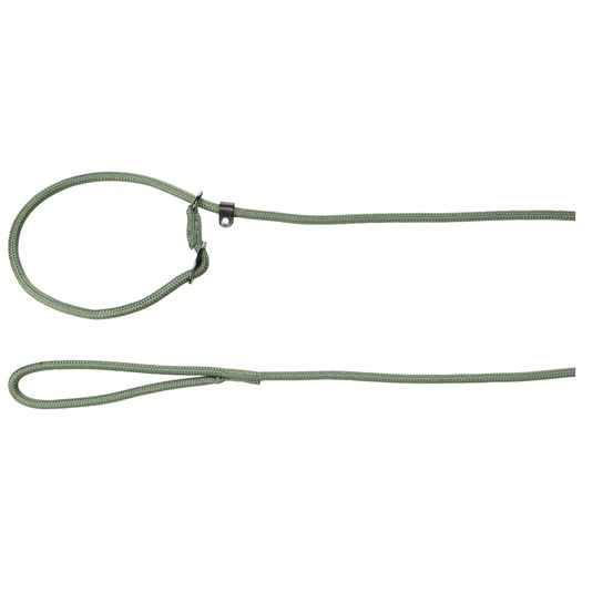 Laisse anti-traction aiden