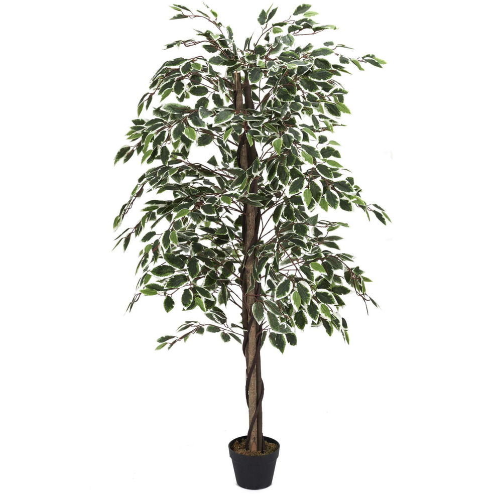 Plante artificielle feuillage panaché 185 cm
