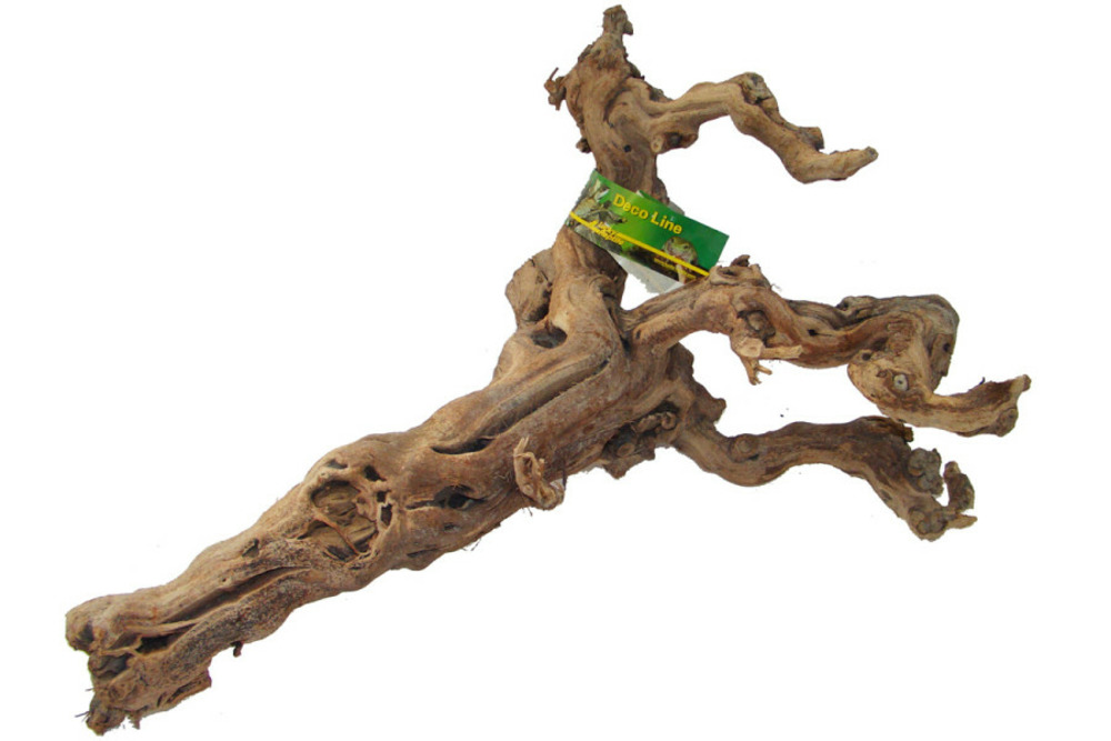Bois de vigne - grapevine - large 50-80 cm - décoration pour terrarium destiné aux reptiles (lézards, serpents, tortues), amphib