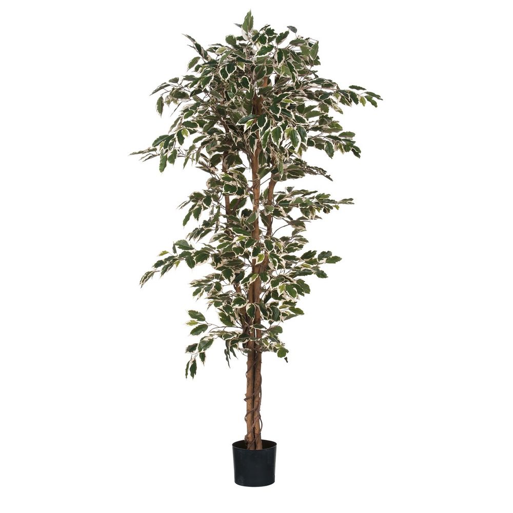 Mica decorations plante artificielle ficus - h170 cm - vert panaché