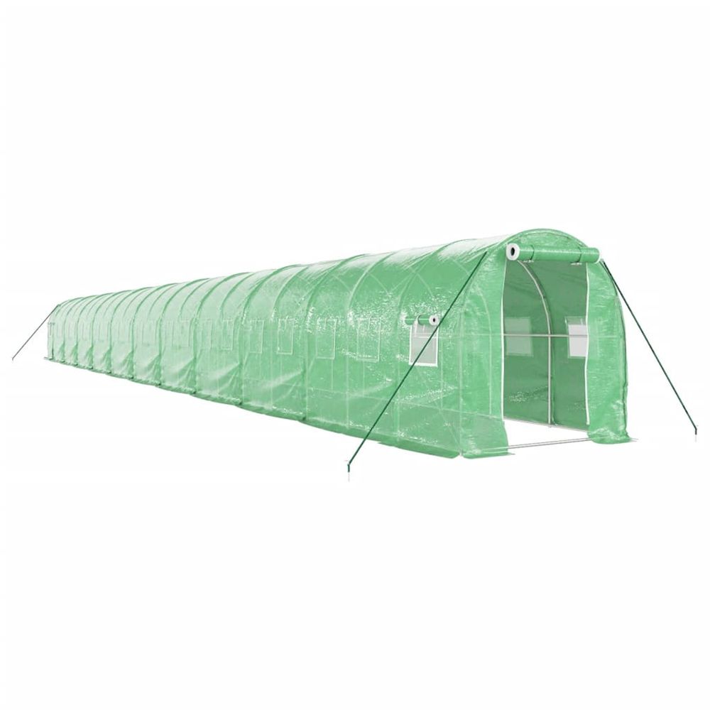 Serre avec cadre en acier vert 44 m² 22x2x2 m