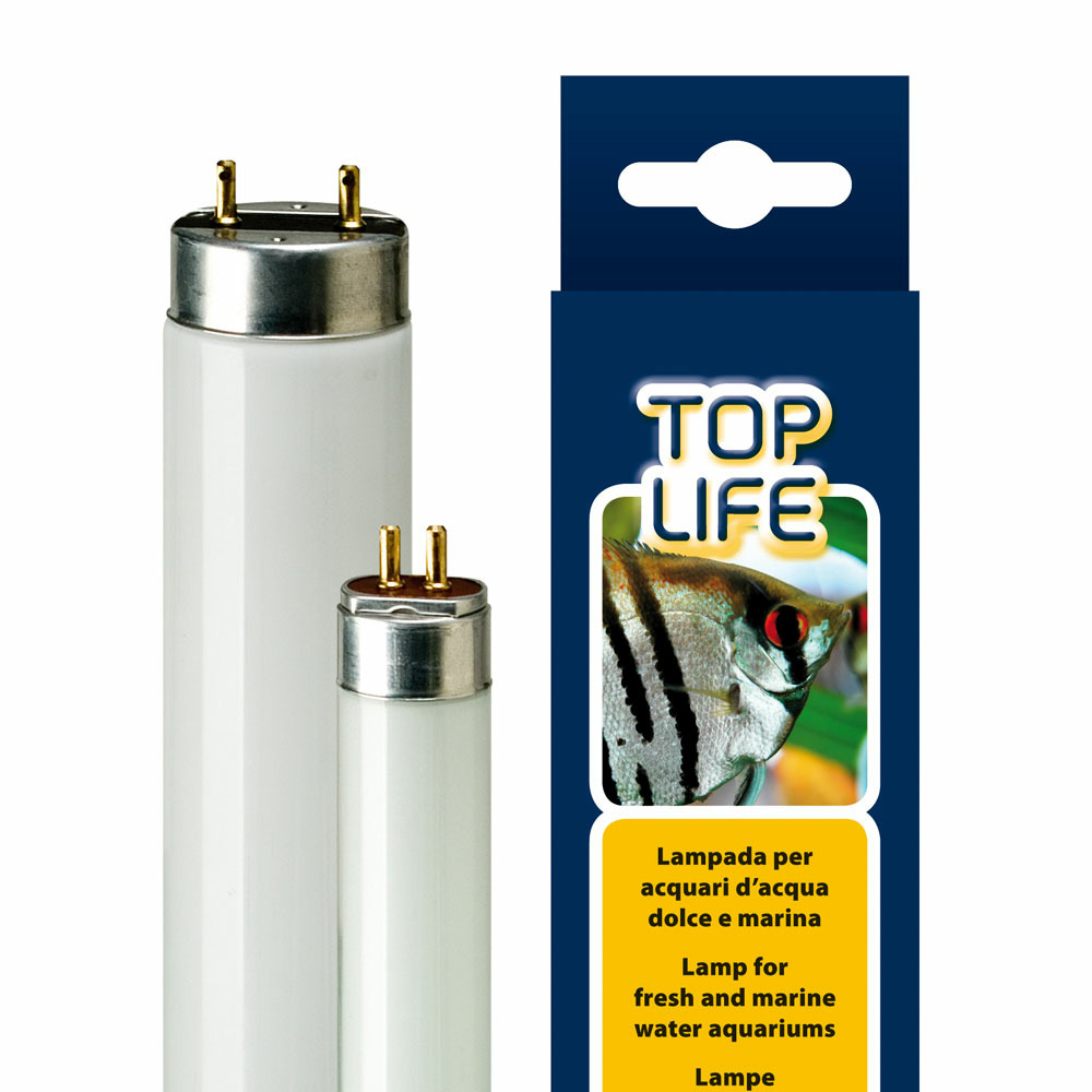 Éclairage pour aquarium ferplast toplife 24w lumière du jour au néon rehausse les couleurs
