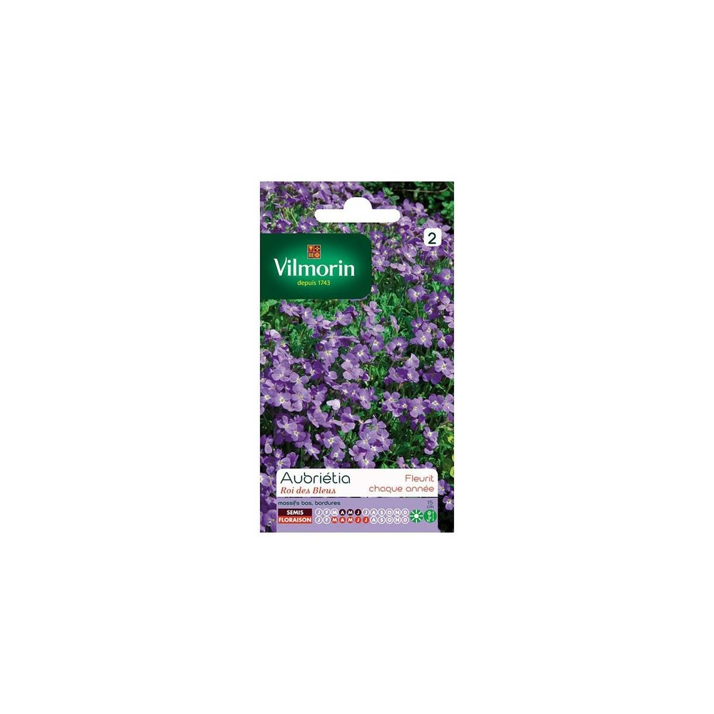 Sachets graines aubrietia roi des bleus