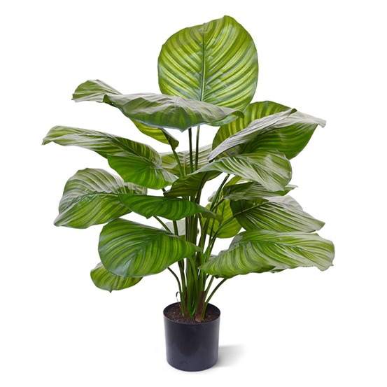 Calathea fasciata plante artificielle de 70 cm