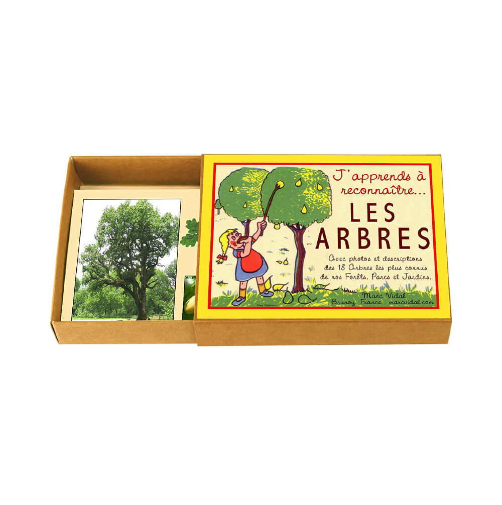 J'apprends à reconnaître les arbres