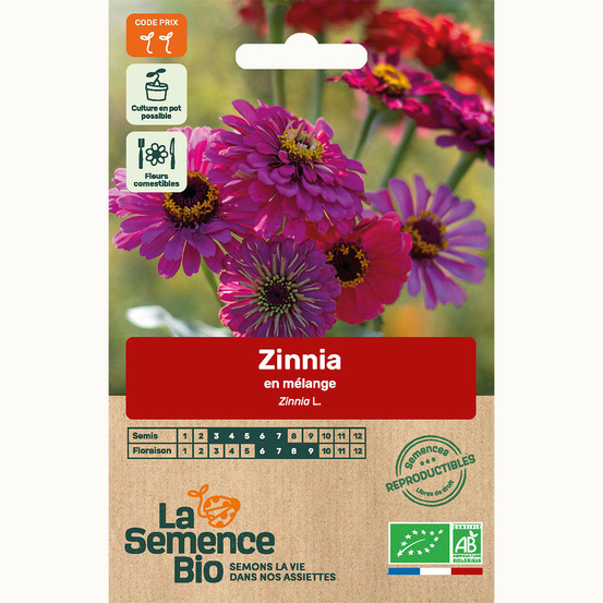 Zinnia en mélange - graines bio