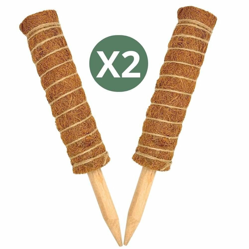 Lot x2 tuteurs empilables pour plantes en fibres de coco + 1m ruban velcro offert - support pour plantes grimpantes