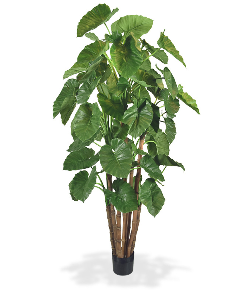 Alocasia calidora géant arbre artificielle deluxe de 210 cm