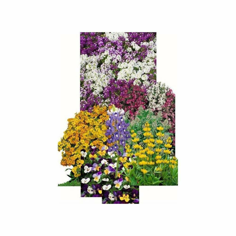 Fleurs parfumÃ©es en mÃ©lange