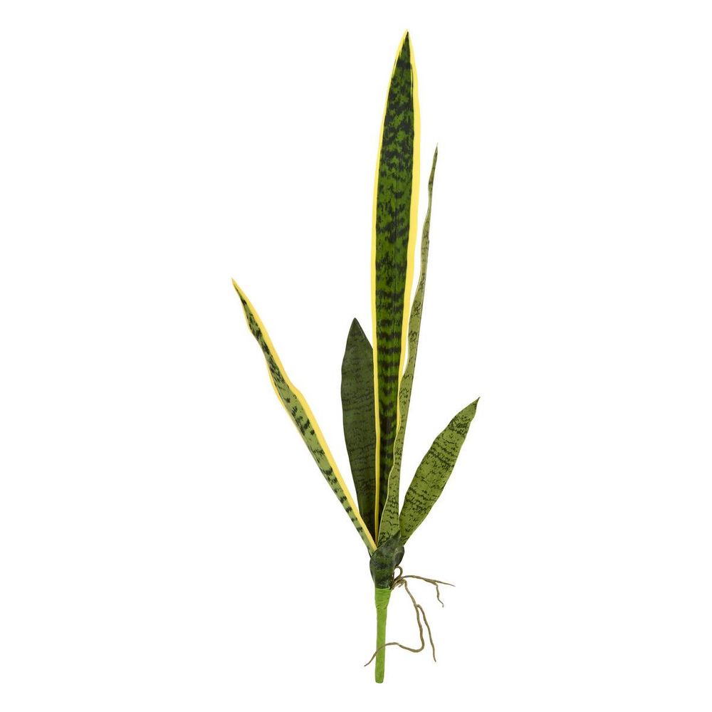 Tige de sansevieria nippo h.80cm vert