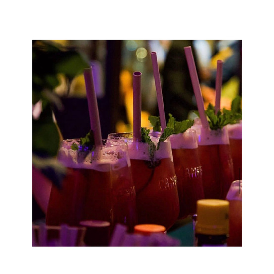 Paille jetable en fibre de bambou l 12,5 cm ø 0,06 cm - natural bambou