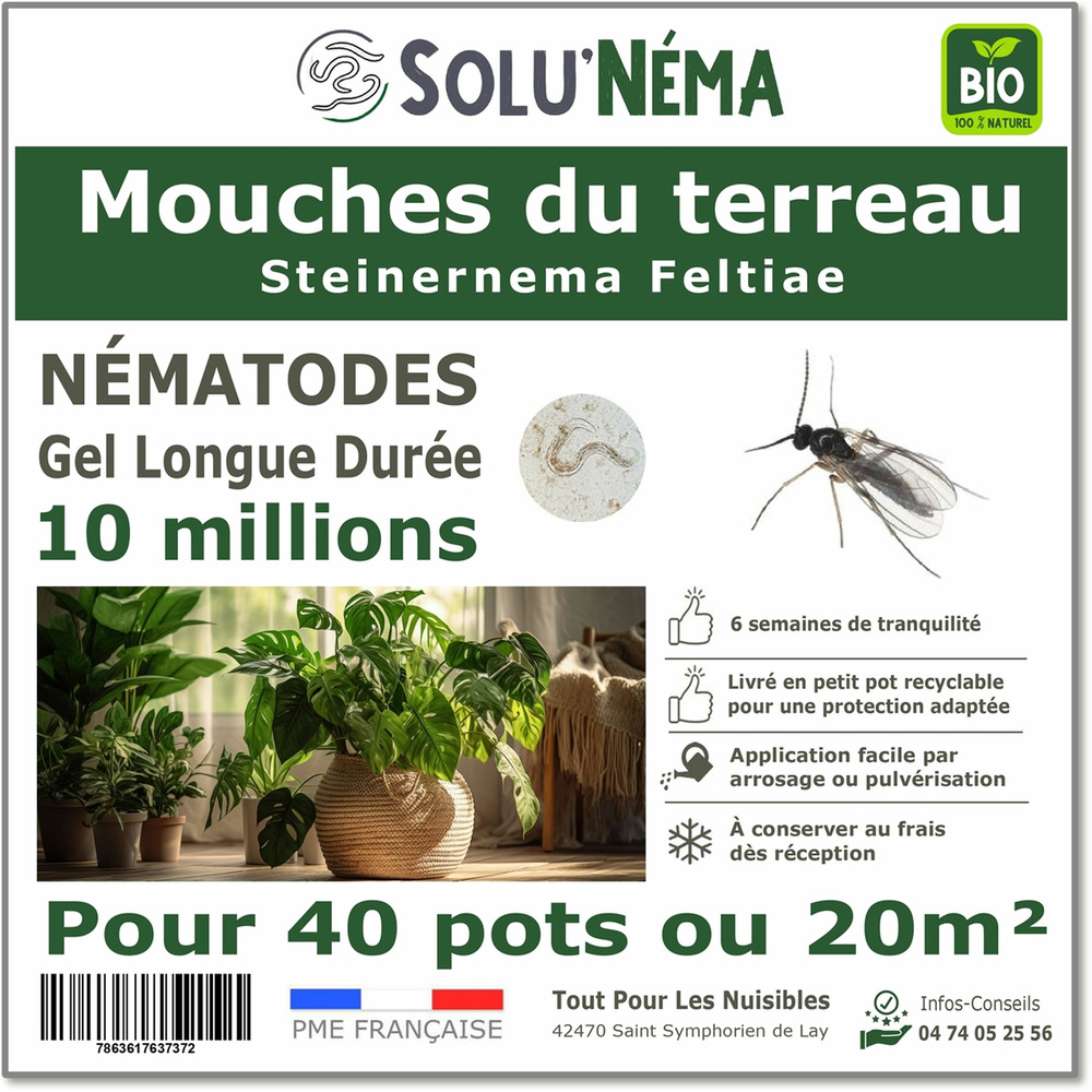 Solunéma - Nématodes - Mouches du Terreau 10 Millions Steinernema Feltiae (SF)