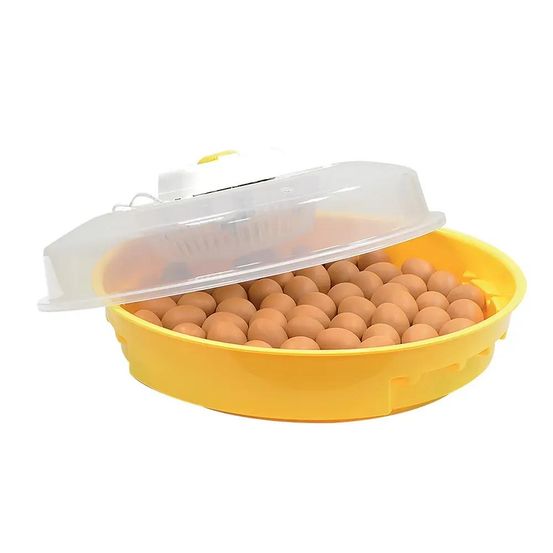 Couveuse manuelle 70 oeufs puisor io-202 avec thermostat réglable