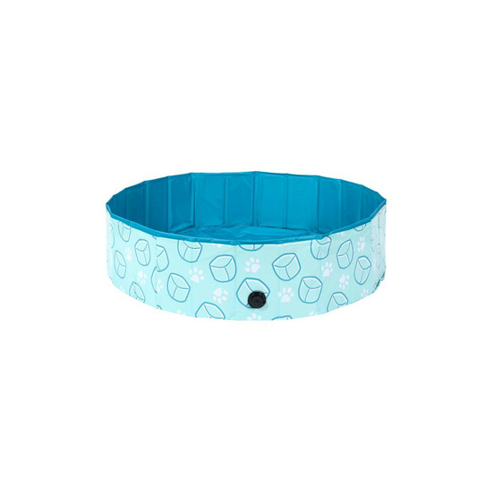 Piscine pour chien
