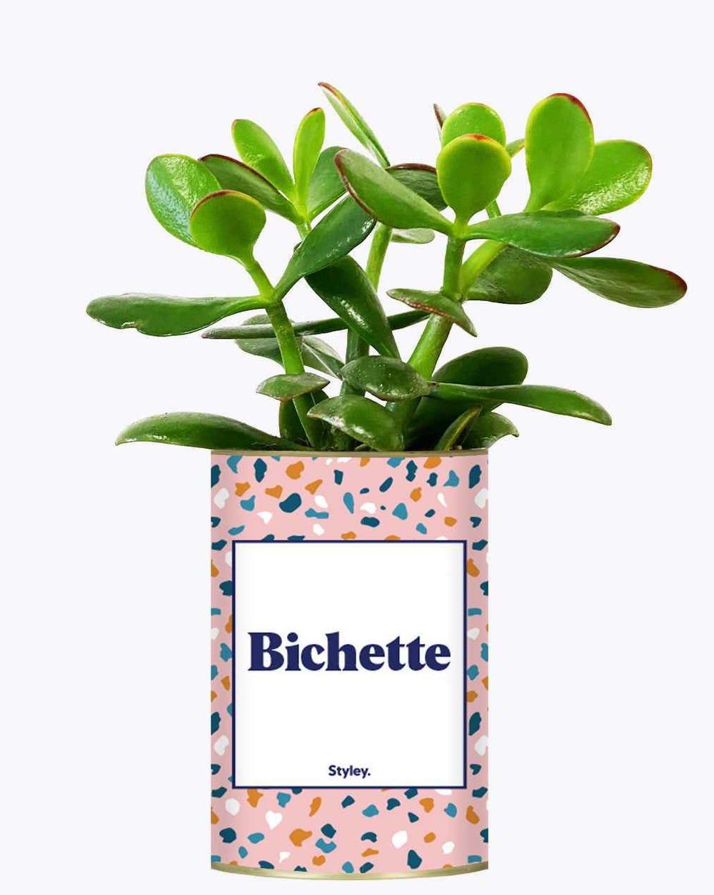 Idée cadeau - bichette - cactus