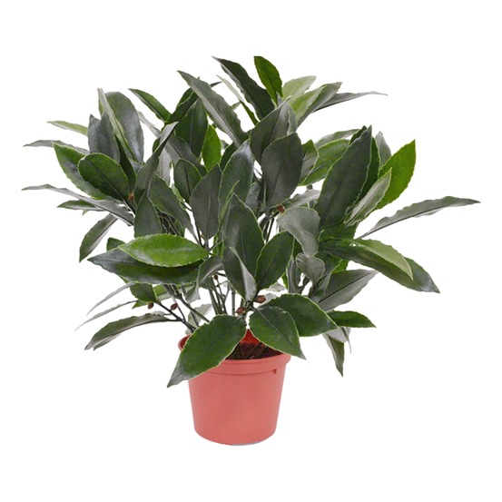 Laurier plante artificielle de 35 cm anti-uv en pot
