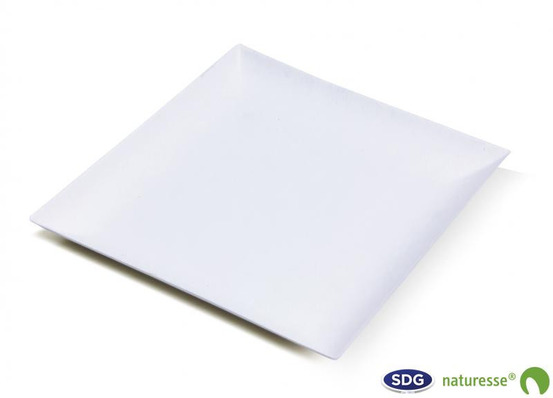 Assiette plate pulpe de cellulose elégance 18x18 cm - sdg - lot de 400