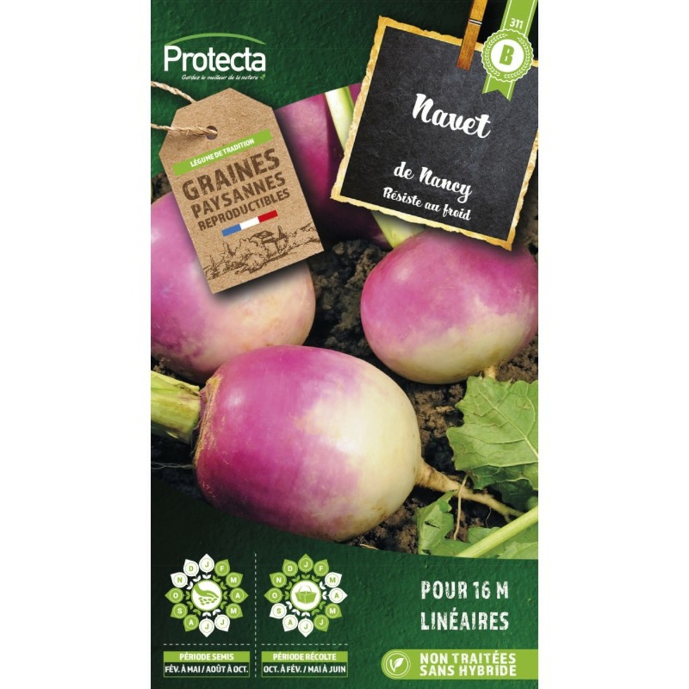 Graines paysannes - navet de nancy à feuille entière