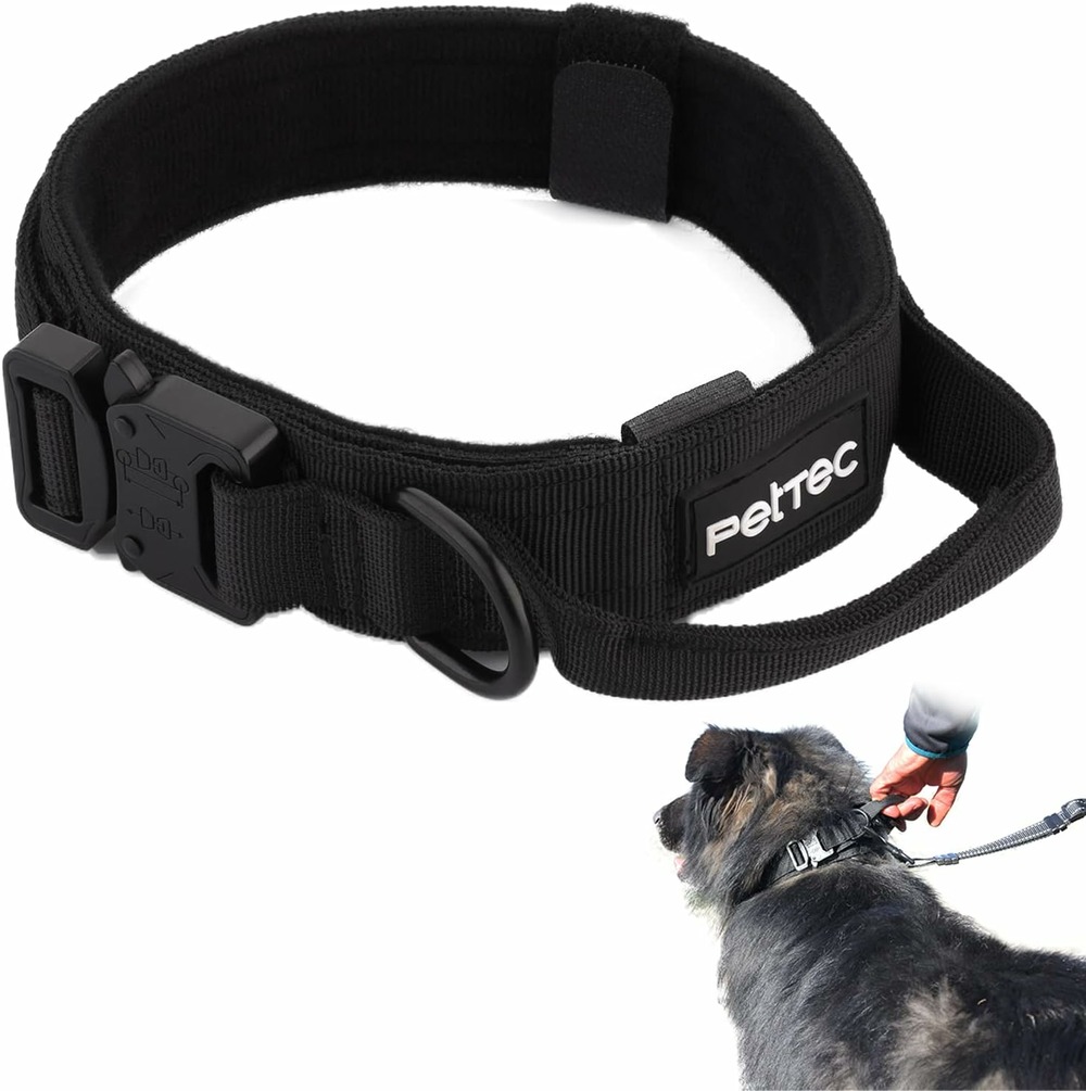 Pettec collier de chien en néoprène & nylon s