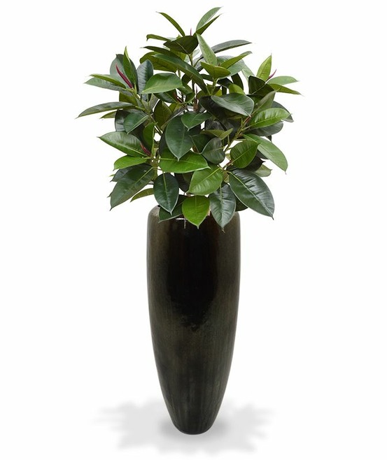 Elastica robusta plante artifiielle de 90 cm vert
