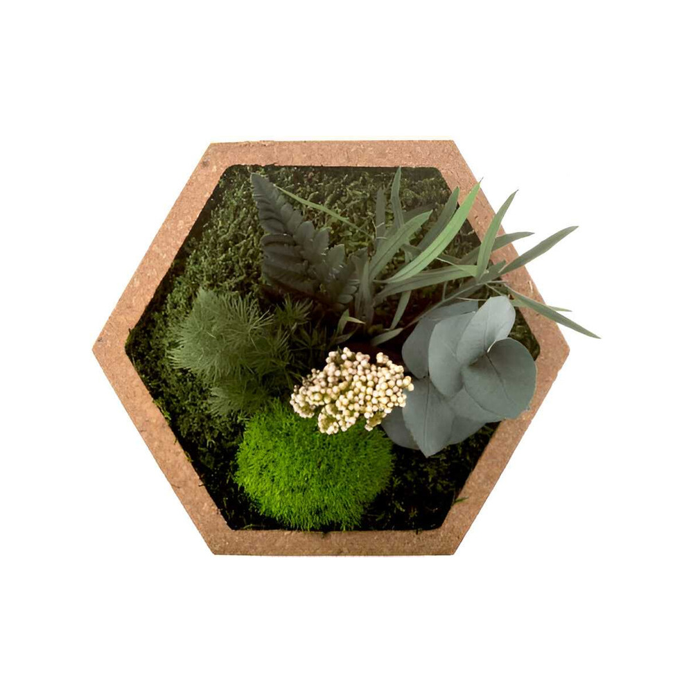 Tableau végétal stabilisé nature hexagonale